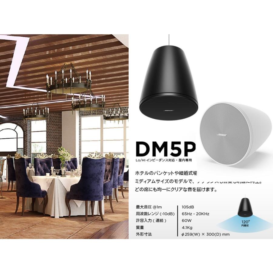 BOSE（ボーズ） DM5P PAIR BLK ( ペア / 2本入 ) 吊り下げ ペンダント