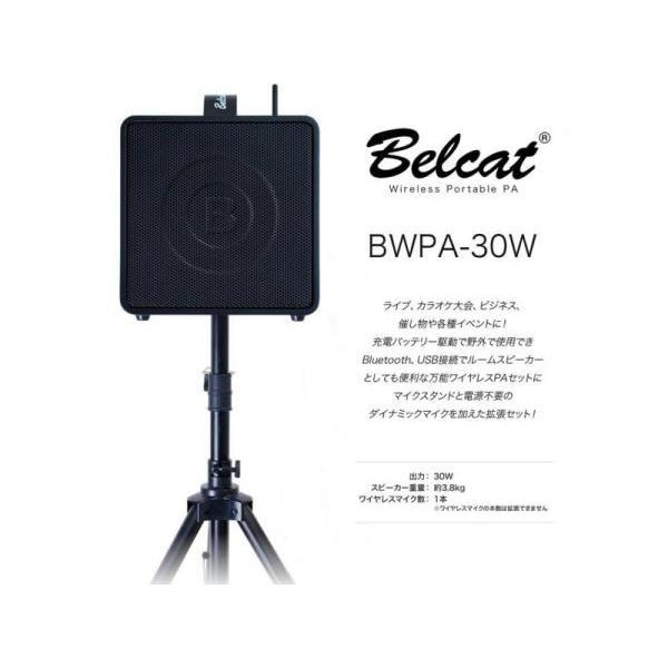 Belcat BWPA-30W（チャンネル可変式モデル） ◇ 周波数 1ch ワイヤレス