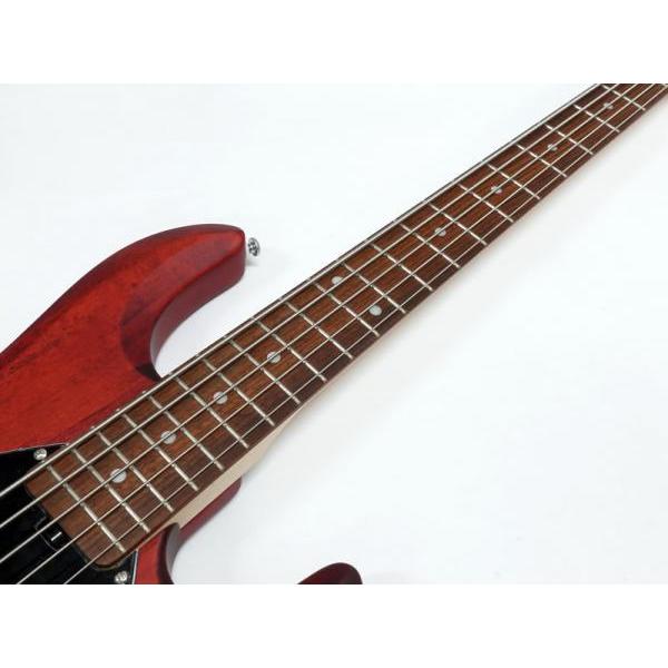 Sterling by Musicman RAY5 Walnut Satin ミュージックマン by
