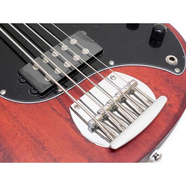 Sterling by Musicman RAY5 Walnut Satin ミュージックマン by