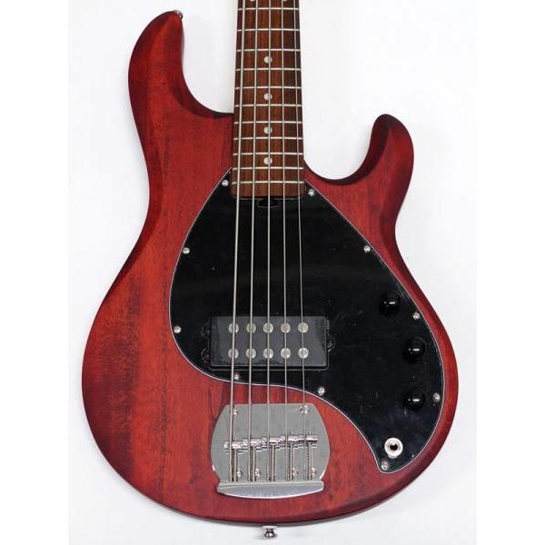 Sterling by Musicman RAY5 Walnut Satin ミュージックマン by