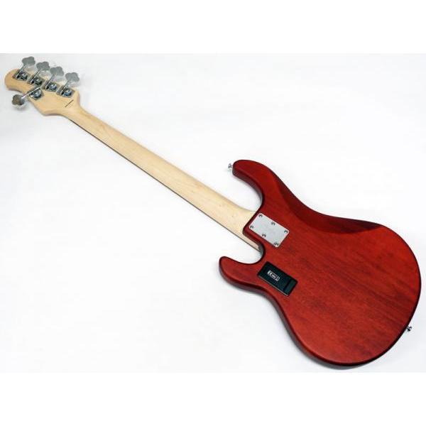 Sterling by Musicman RAY5 Walnut Satin ミュージックマン by