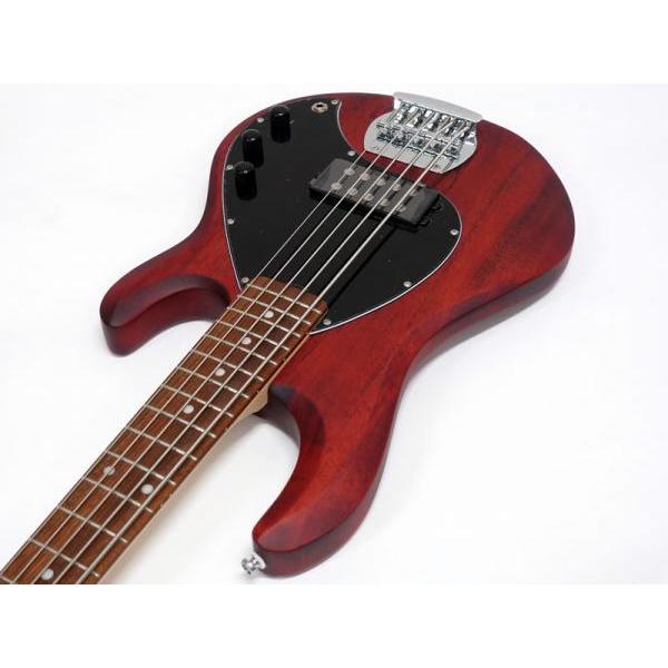 Sterling by Musicman RAY5 Walnut Satin ミュージックマン by