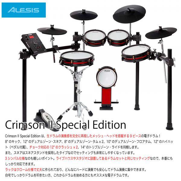ALESIS(アレシス) 電子ドラム Crimson II Special Edition スターターセット (ツイン) マット  初心者【在庫有り 】｜watanabegakki｜03