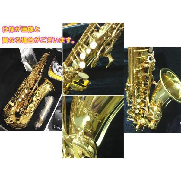 Antigua (アンティグア) AS2800 エルドン アルトサックス セミハード