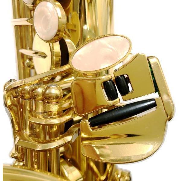 Antigua (アンティグア) AS2800 エルドン アルトサックス セミハード