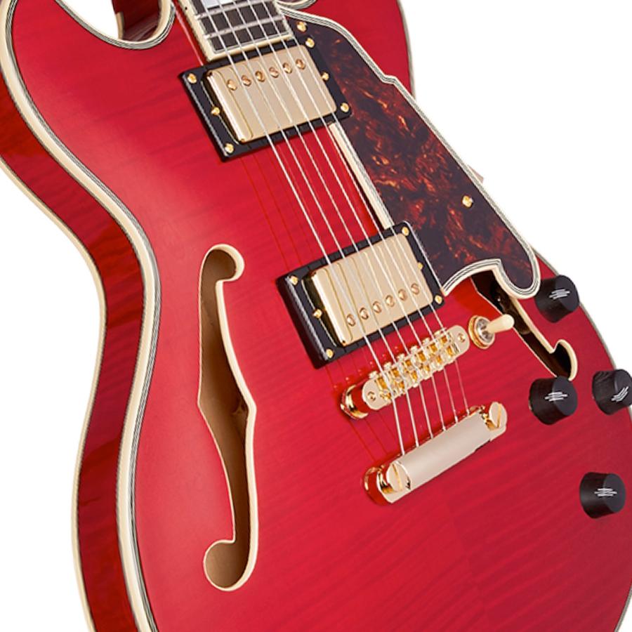 D'Angelico(ディアンジェリコ) Excel Mini DC Trans Cherry セミアコ