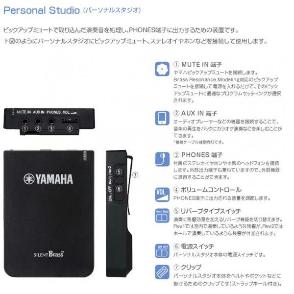 Kaerntner KFH130 フレンチホルン フルダブル デタッチャブル F/B♭ French horn KFH-130 SB3J セット 北海道不可 沖縄不可 離島不可 代引き不可 同梱不可の画像