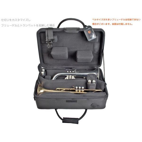 PROTEC(プロテック) IP301T B♭ トランペット トリプルケース ブラック
