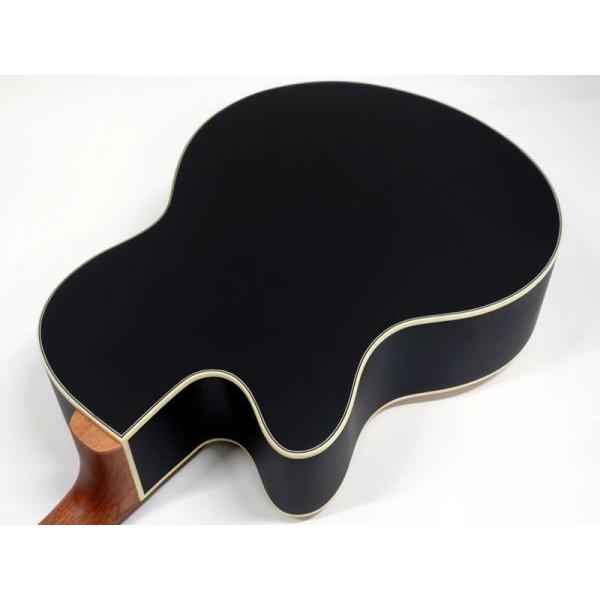 Warwick（ワーウィック） Warwick Rockbass Alien Standard 4st