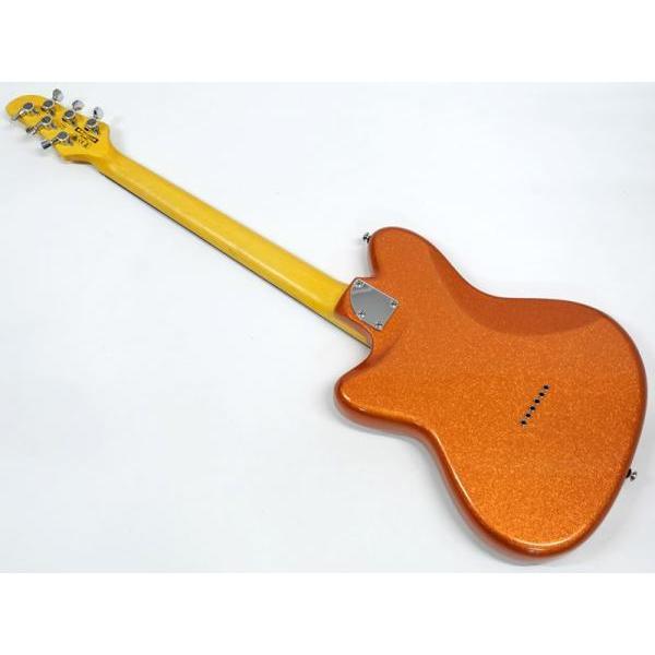 アイバニーズ　エレキギター エレキギター】ステージで個性と存在感を発揮する為の実戦機、RG2820QZ