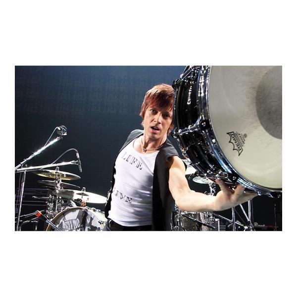 Pearl(パール) Signature Snares Shane Gaalaas SG1460 シェーン・ガラスモデル シグネチャースネア【 5月30日時点メーカー在庫無し  】_5