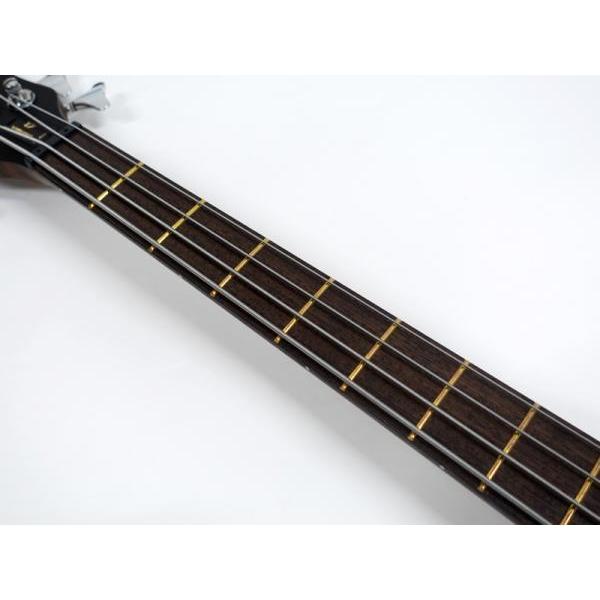 Warwick（ワーウィック） Germany Pro Series Streamer LX 4st Nirvana