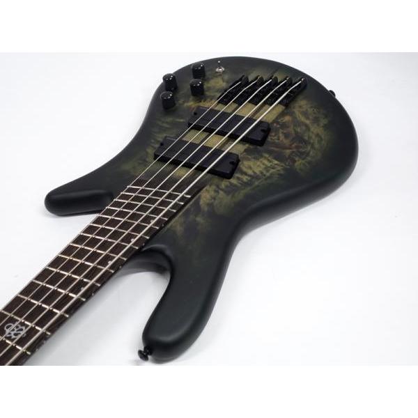SPECTOR NS Dimension 5 Haunted Moss Matte スペクター 5弦ベース