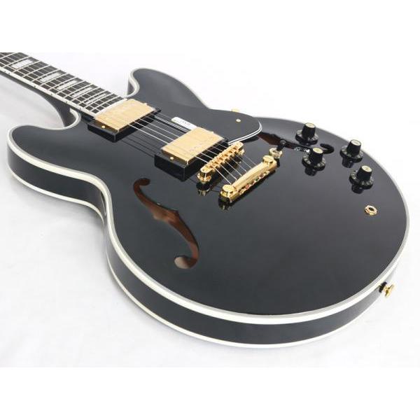 FgN(フジゲン) MSA-HP-C BK 国産 セミアコ エレキギター Fujigen