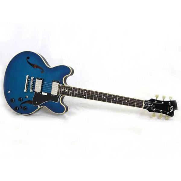 FgN(フジゲン) MSA-HP BBT 国産 エレキギター セミアコ Fujigen Blue Burst【 音楽生活応援特価 】