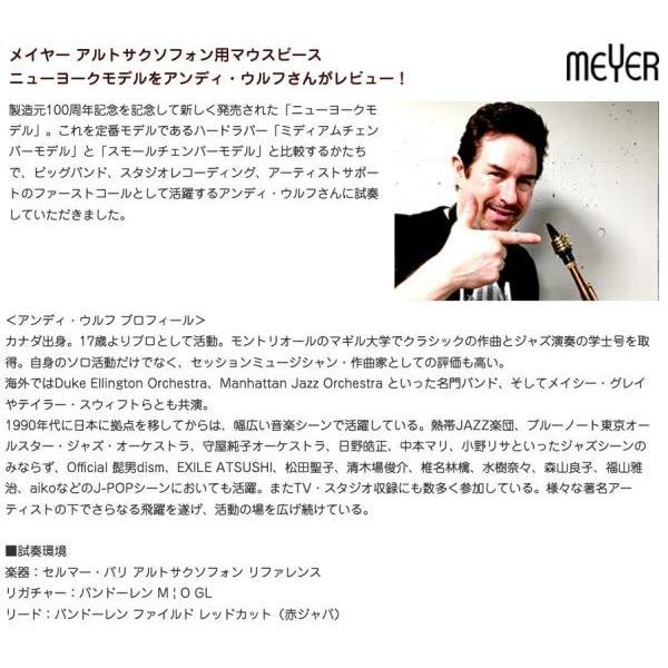 MEYER ニューヨークモデル 6M アルトサックス ラバー マウスピース NY