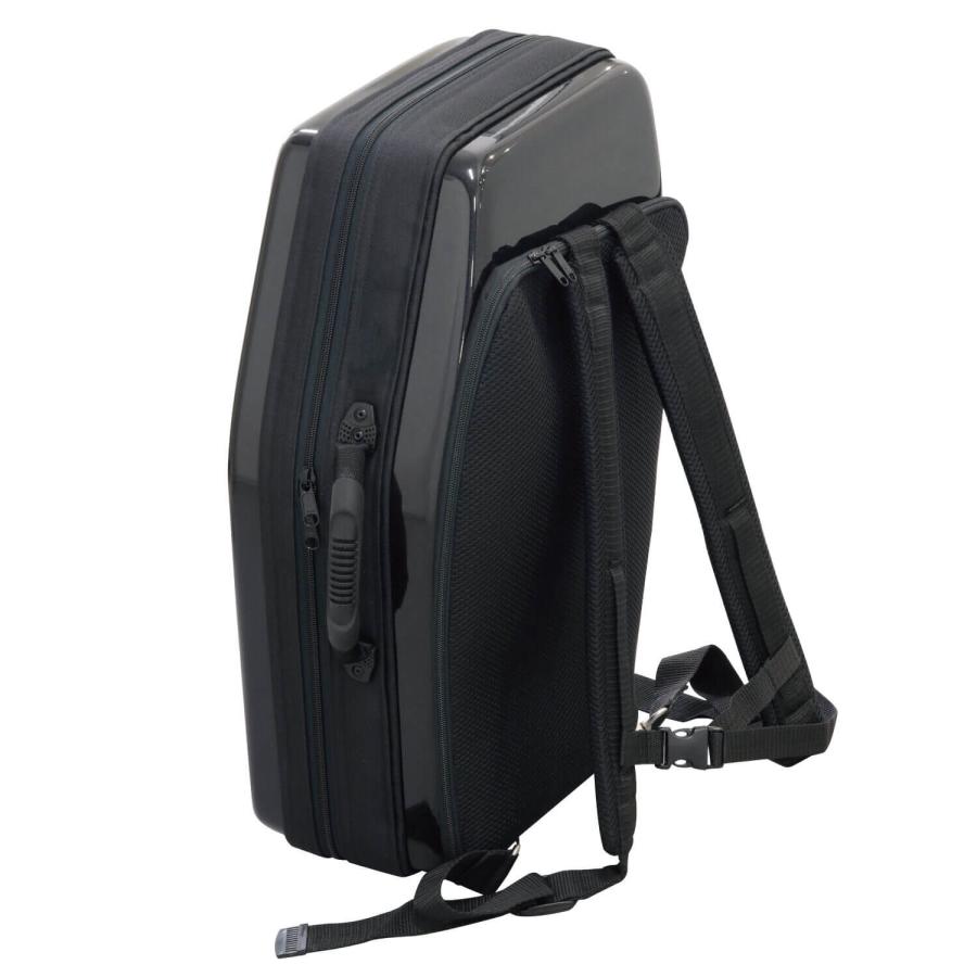 bags(バッグス) EF2SAS M-BLK ダブルケース アルトサックス ソプラノ