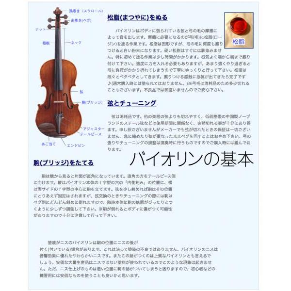 カルロジョルダーノ エレキバイオリン ブルー