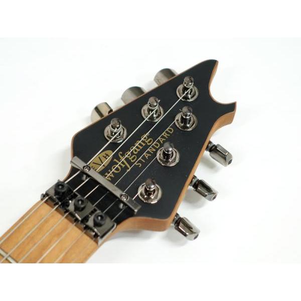 EVH(イーブイエイチ) Wolfgang Standard Exotic Poplar Burl Top