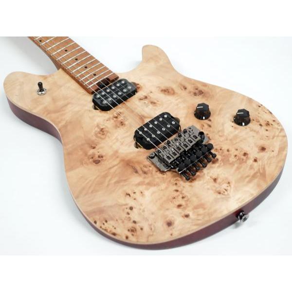 EVH(イーブイエイチ) Wolfgang Standard Exotic Poplar Burl Top
