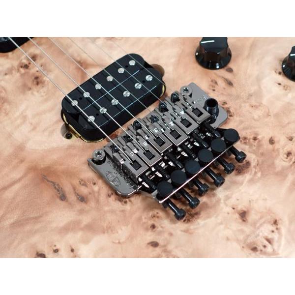 EVH(イーブイエイチ) Wolfgang Standard Exotic Poplar Burl Top