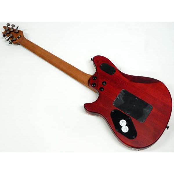 EVH(イーブイエイチ) Wolfgang Standard Exotic Poplar Burl Top