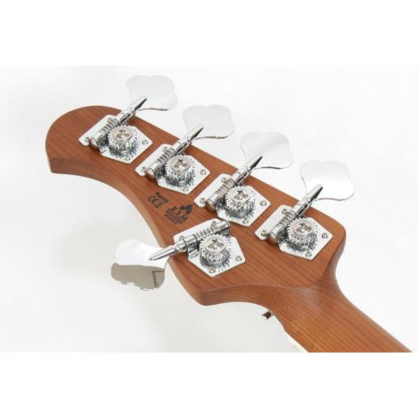 Bacchus（バッカス） WL5-ASH33-AC RSM/M STR アウトレット 特価品 5弦
