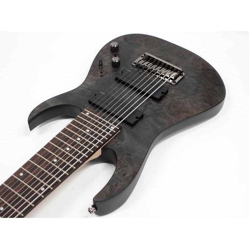 Ibanez（アイバニーズ） RG9PB TGF 9弦 エレキギター Transparent Gray