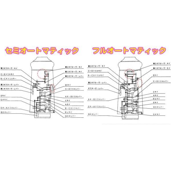 Bulgheroni(ブルゲローニ) FB-091 オーボエ 木製 管体 グラナディラ