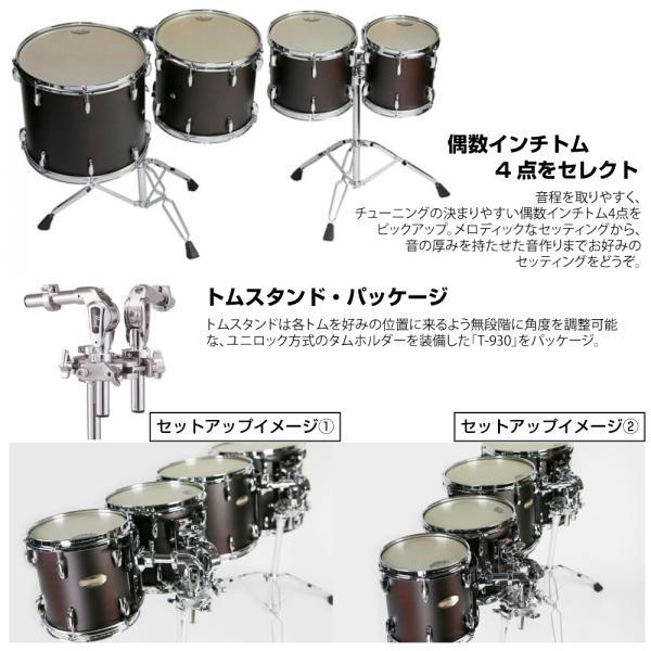 Pearl Pearl(パール) コンサートトム(ダブルヘッド) PTA0246D/SET【 12