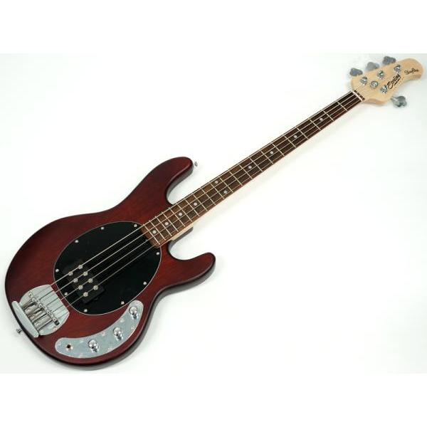 Sterling by Musicman RAY4 Walnut Satin 特価品 スティングレイ