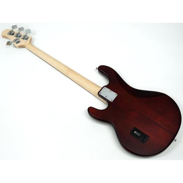 Sterling by Musicman RAY4 Walnut Satin 特価品 スティングレイ