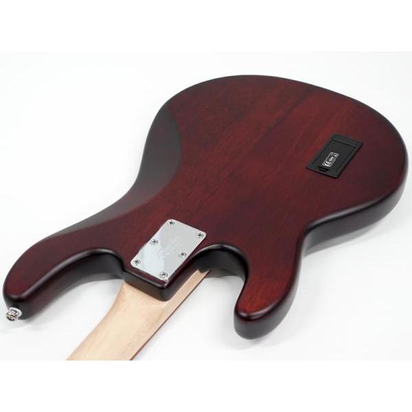 Sterling by Musicman RAY4 Walnut Satin 特価品 スティングレイ