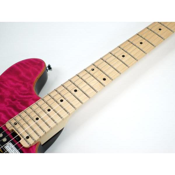 シェクター　ギター　　希少1本のみ シェクター ギター 希少1本のみ