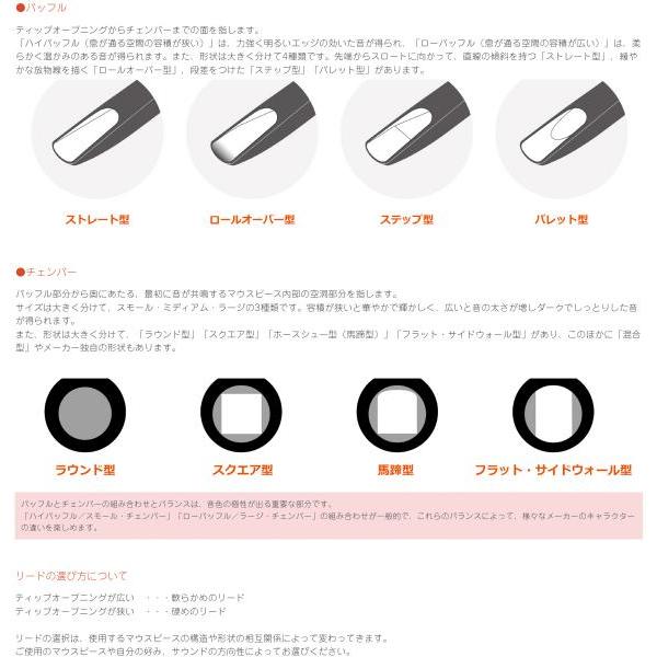 Bari Woodwinds ( バリ・ウッドウィンズ ) RSS66 ソプラノ BARI(バリ