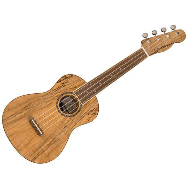 Fender(フェンダー) Zuma Exotic Concert Ukulele Spalted Maple アウトレット コンサート