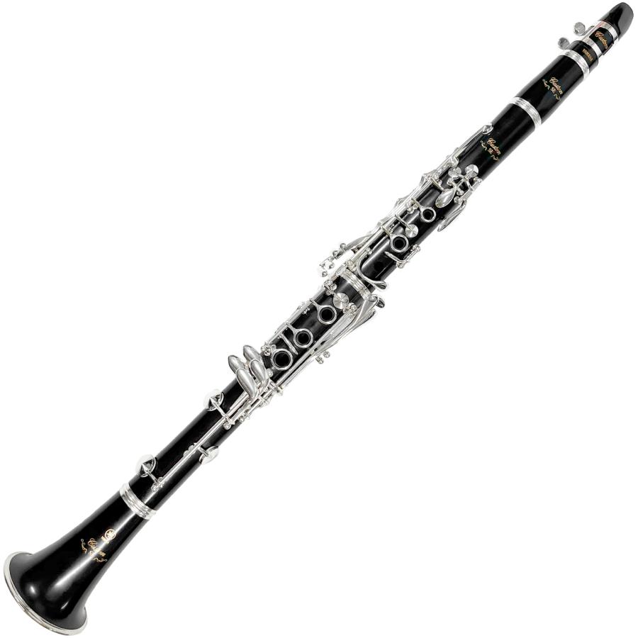 YAMAHA（ヤマハ） YAMAHA 5年保証サポート対象 YCL-SE B
