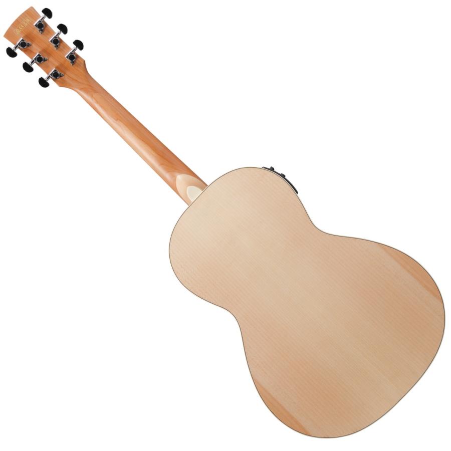 Ibanez（アイバニーズ） PN29E OPN アコースティックギター エレアコ
