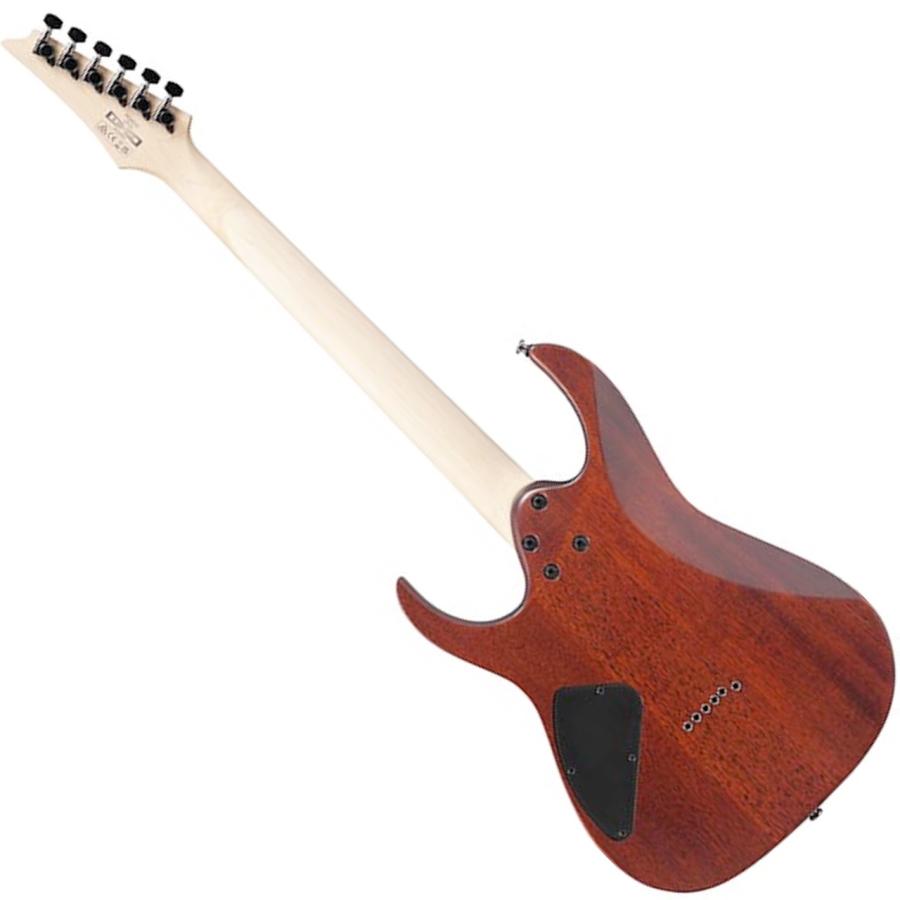 Ibanez（アイバニーズ） RG421S SEM SPOT生産モデル Sea Shore Matte