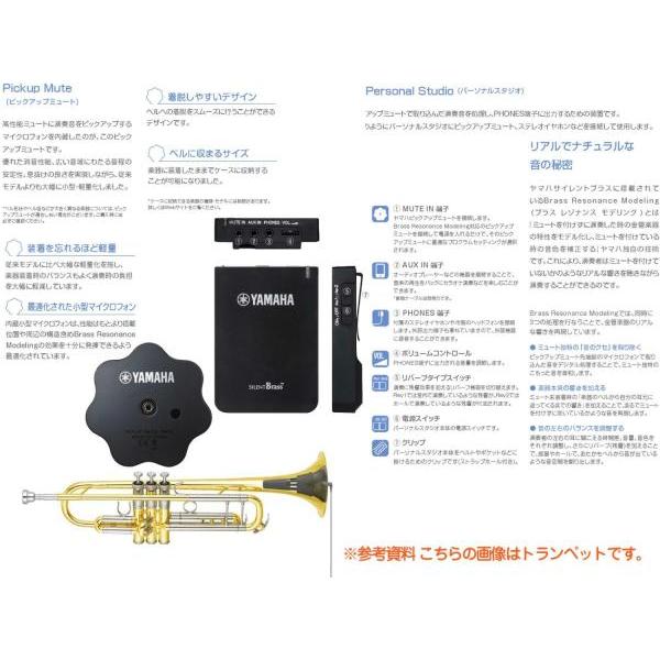 YFH-8315G フリューゲルホルン ラッカー ゴールドブラス カスタム B♭ Flugelhorn custom gold SB6X セット G　北海道 沖縄 【バネ】 離島不可
