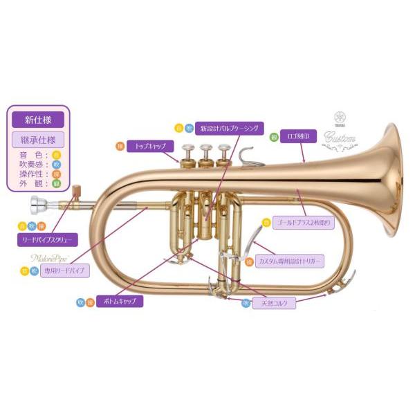 YFH-8315G フリューゲルホルン ラッカー ゴールドブラス カスタム B♭ Flugelhorn custom gold SB6X セット G　北海道 沖縄 【バネ】 離島不可