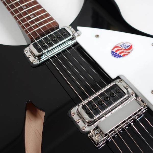 Rickenbacker（リッケンバッカー） Rickenbacker 330 JG リッケン