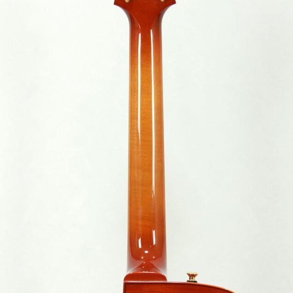 Sadowsky Jim Hall Model Violin Burst ジム・ホール 国産 フルアコ