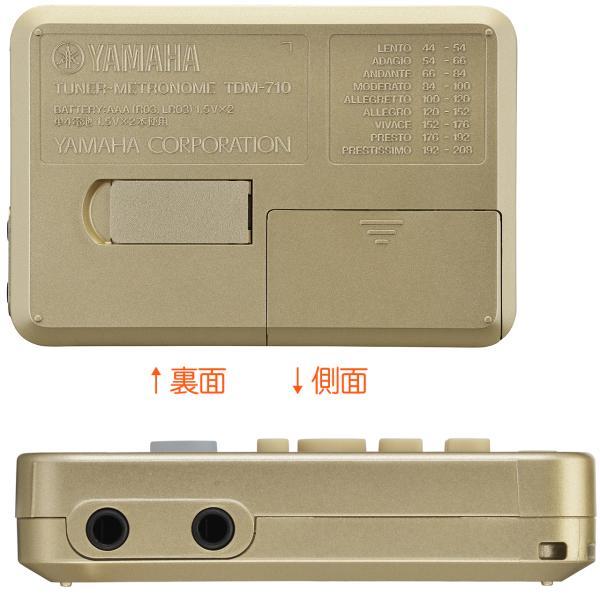 Pharaoh Amplifiers/Echo Jr/ディレイ/本体のみ/エフェクター Pharaoh