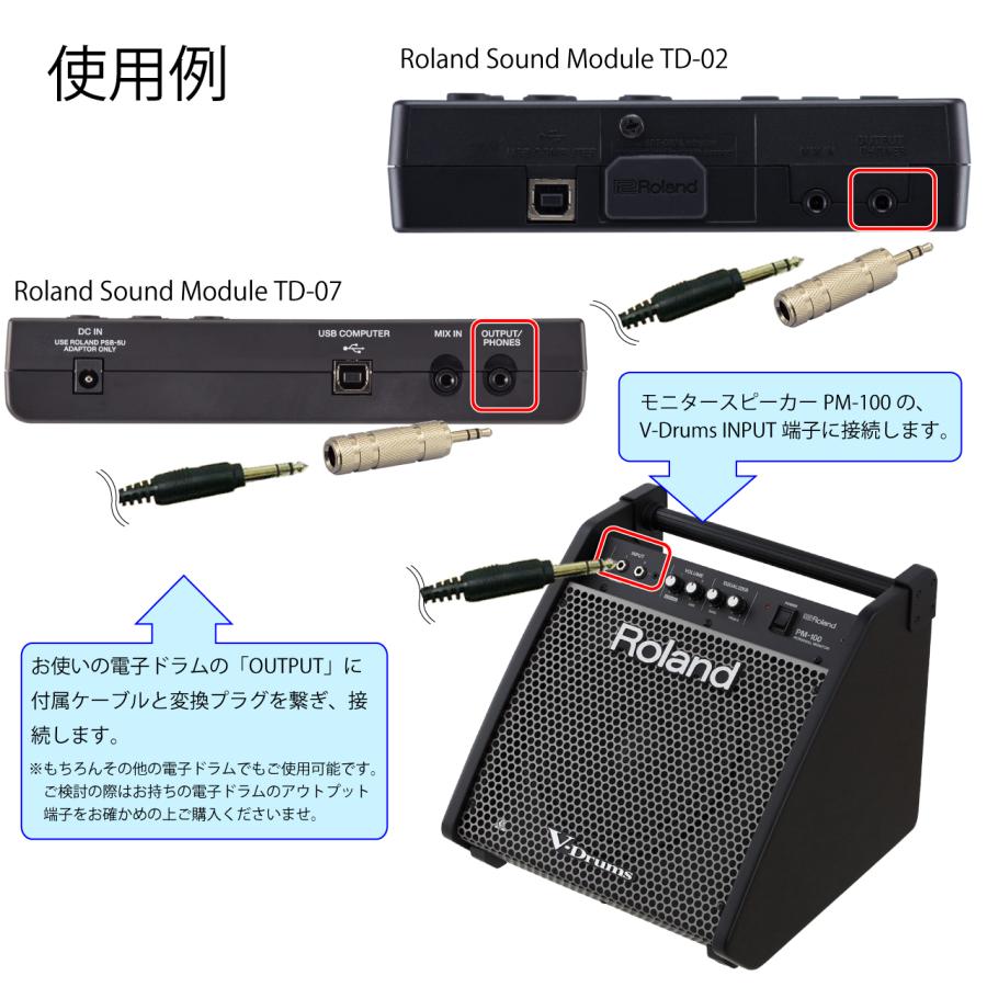Roland(ローランド) PM-100 + 3m 接続ケーブル + 変換プラグ【在庫有り 】