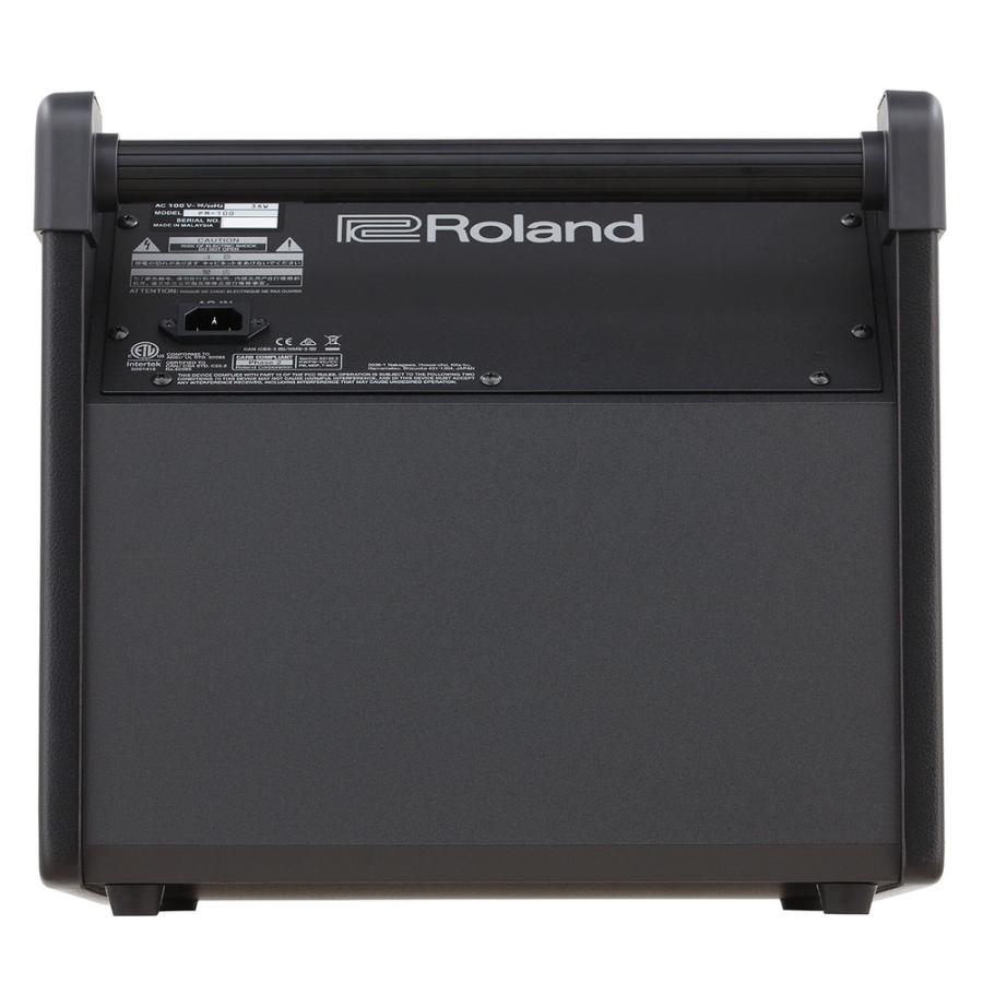 Roland(ローランド) PM-100 + 3m 接続ケーブル + 変換プラグ【在庫有り 】