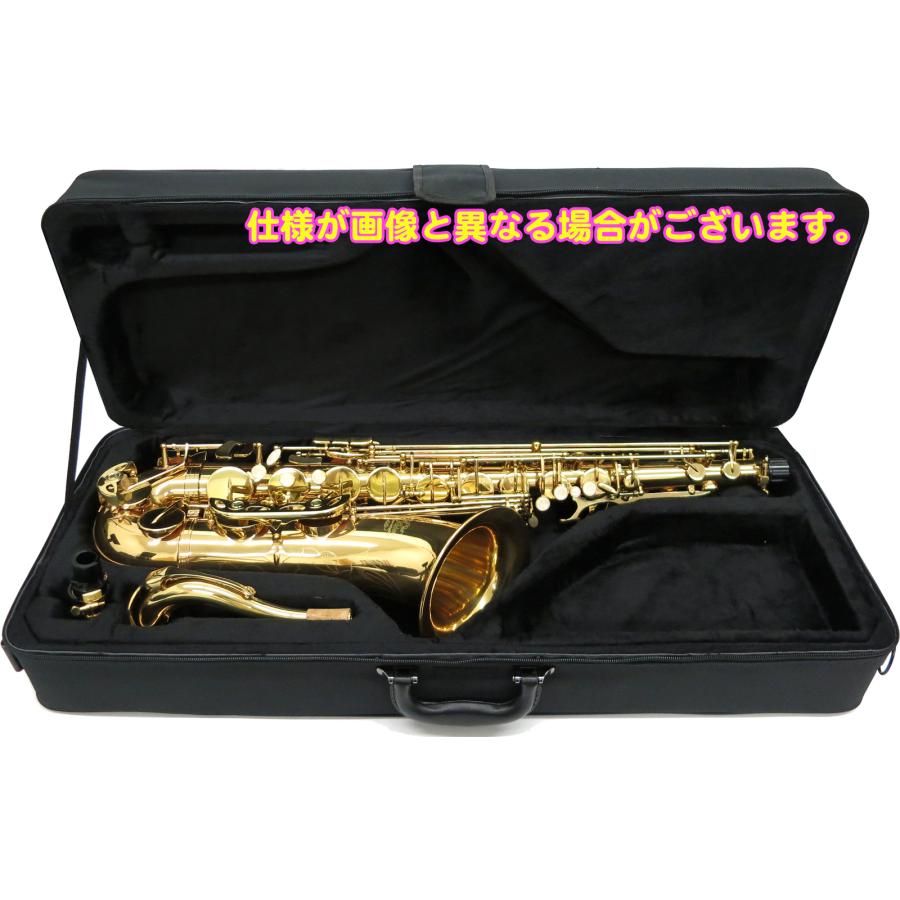 J Michael(Jマイケル) 3年保証 TN-900 テナーサックス 新品