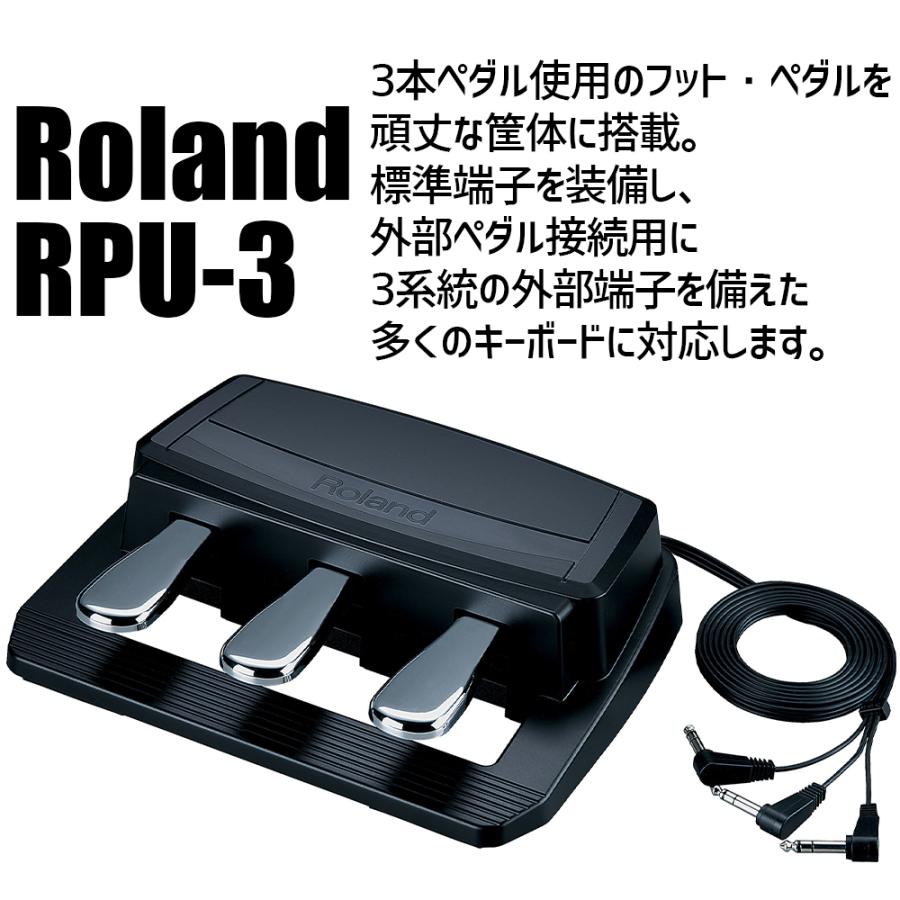 ローランド（Roland） RD-08 3連ペダル付き演奏セット ステージピアノ