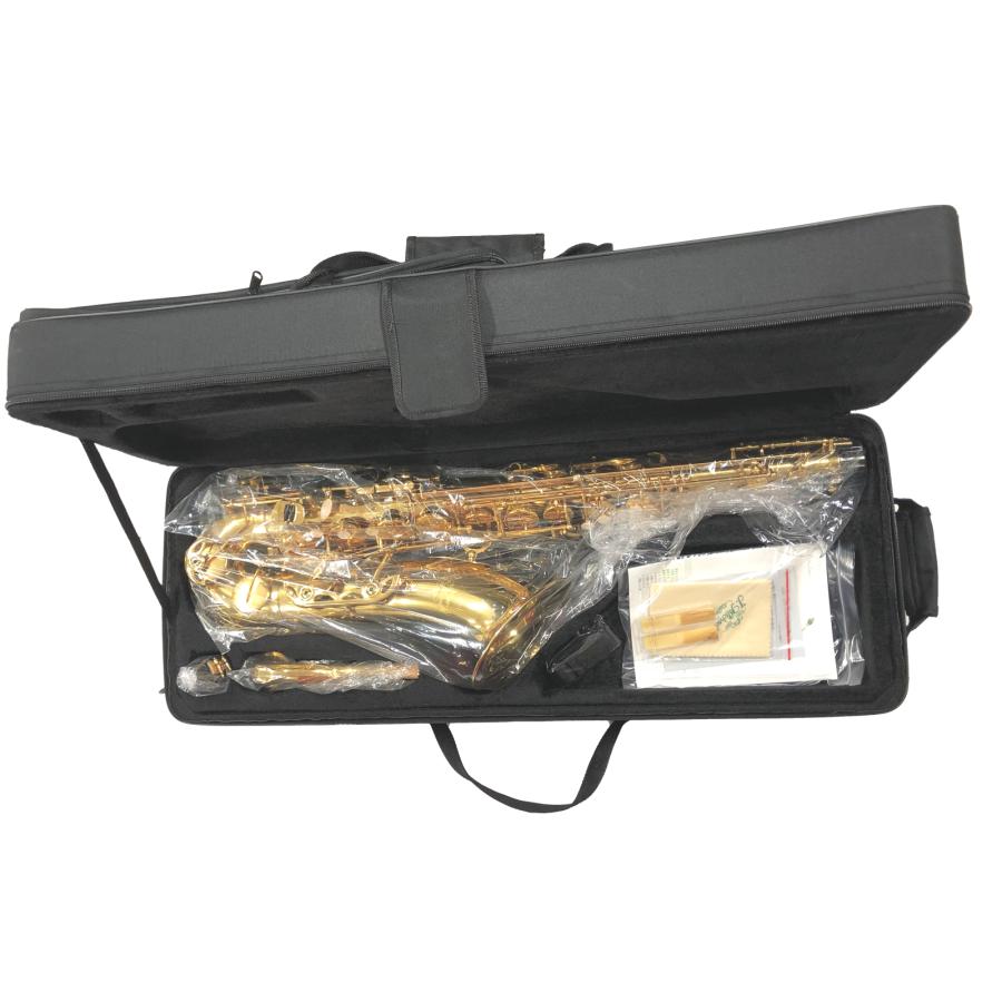 J Michael(Jマイケル) 3年保証 TN-900 テナーサックス 新品